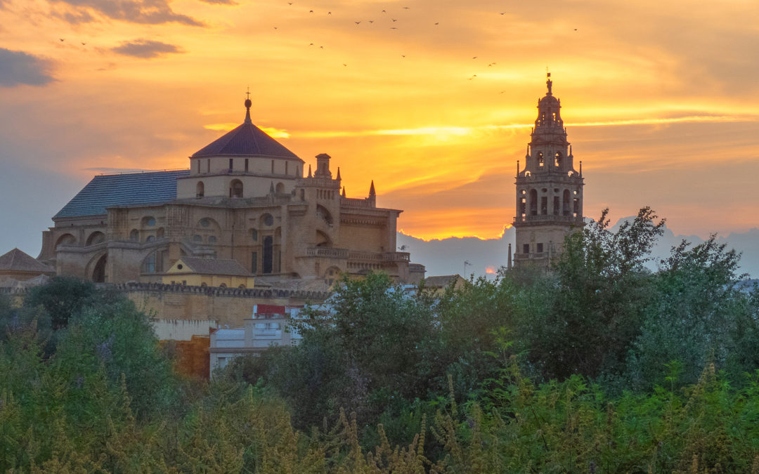 The Mosque-Cathedral
