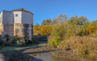 San Antonio Mill